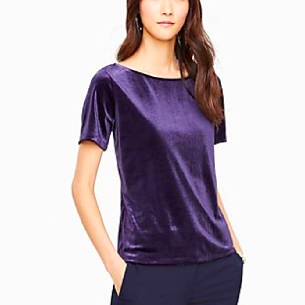 Ann Taylor Burgundy Velvet Tee Top Small